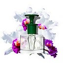 Caswell-Massey Orchid Perfume 60ml