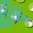 Shay & Blue Sicilian Limes Eau de Parfum Spray 100ml