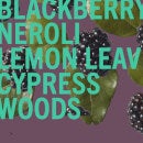 Shay & Blue Blackberry Woods Eau de Parfum Spray 10ml