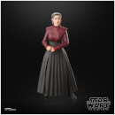 Hasbro Star Wars The Black Series Morgan Elsbeth Star Wars Action Figures (6”)