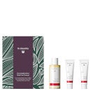 Dr. Hauschka Christmas 2023 The Complete Rose Body Care Concept