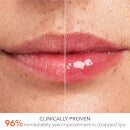 Dr Dennis Gross Skincare DermInfusions Plump and Repair Lip Treatment 10ml