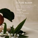 ARKIVE Headcare The All Day Everyday Shampoo 60ml