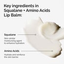 The Ordinary Squalane and Amino Acids Lip Balm 15ml