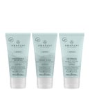 Paul Mitchell Gifts & Sets Awapuhi Wild Ginger Nourishing Travel Kit