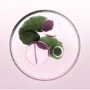 Kérastase Chroma Absolu Huile Cicagloss 30ml