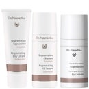 Dr. Hauschka Trio: Regenerating Day Cream Intensive 40ml, Oil Serum Intensive 20ml & Intensive Eye Serum 15ml