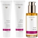 Dr. Hauschka Bundles Trio: Shampoo 150ml, Conditioner 150ml & Oil 75ml