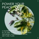 Aveda Serene Spirit: Shampure Body Calming Essentials