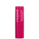 Caudalie Vinotherapist Tinted Lip Conditioner 4.5g