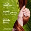 Coco & Eve Bond Therapy Shampoo & Mask Duo Bundle