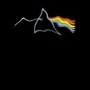 Pink Floyd Rippled Unisex T-Shirt - Black