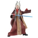 Star Wars The Black Series Shaak Ti, Star Wars: Attack of the Clones Action Figure (6”)