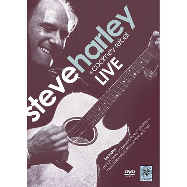 Steve Harley en concert