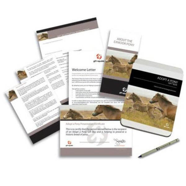 Adopt a Pony Gift Box