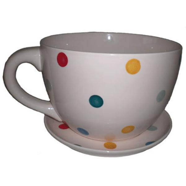 Giant Cream with Multi Coloured Spots Tea Cup and Saucer Planter - Great Gift