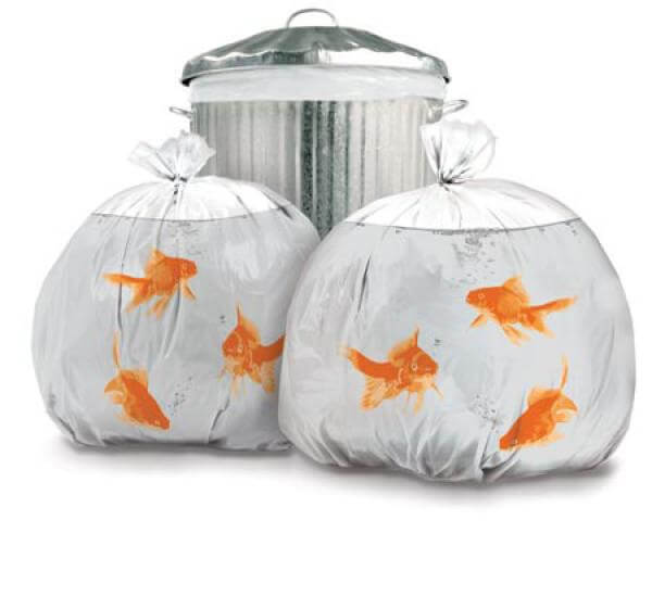 Goldfish Bin Bags