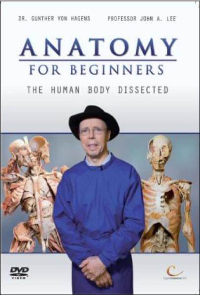 Anatomy For Beginners