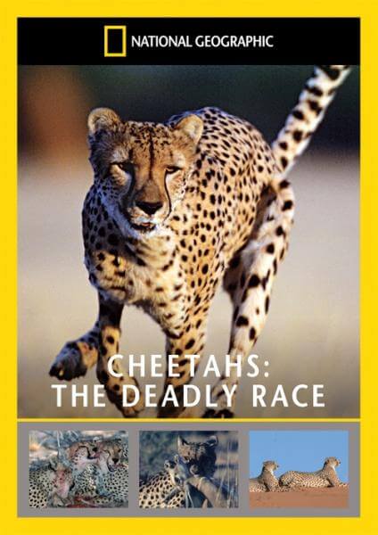 National Geographic: Cheetahs - The Deadly Race