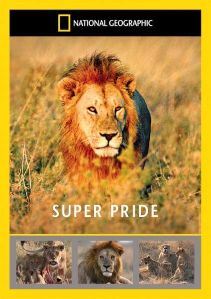 Super Pride: Africas Largest Lion Pride