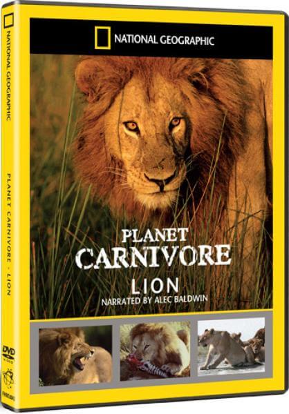 National Geographic: Planet Carnivore Box Set - Lion