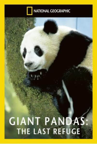 National Geographic: Giant Pandas The Last Refuge