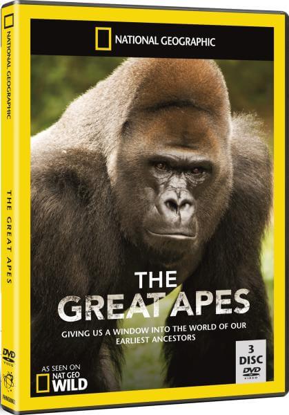 National Geographic Great Apes