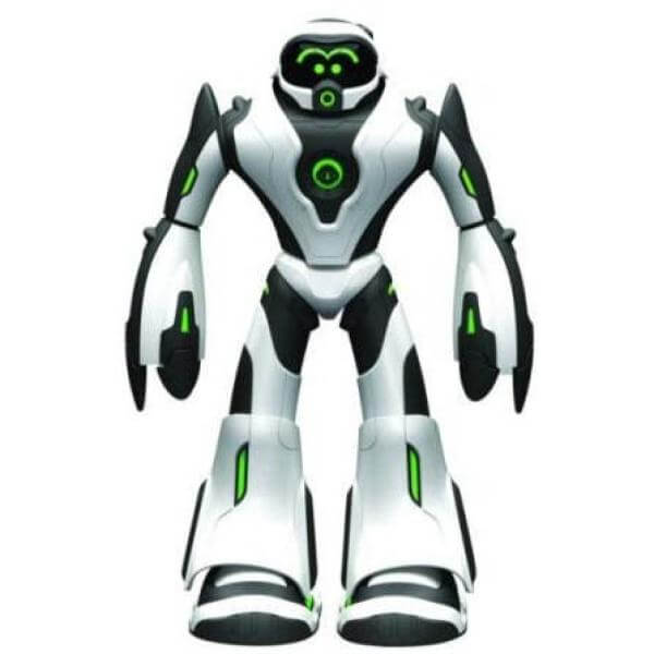  Joe Bot 