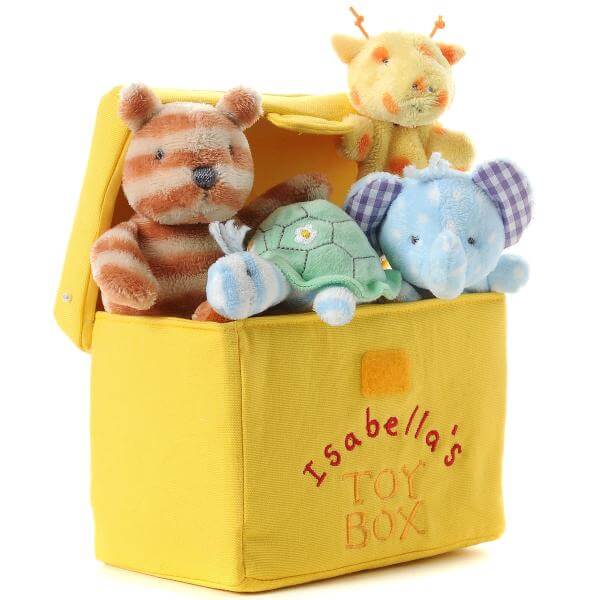 Isabella's toy box