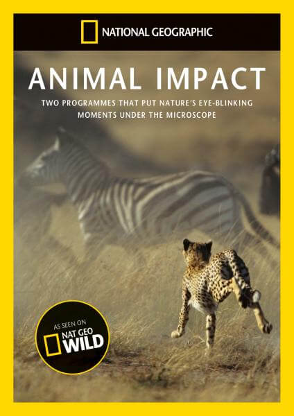 National Geographic: Animal Impact