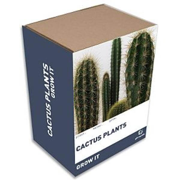 Grow It Caqctus Plants