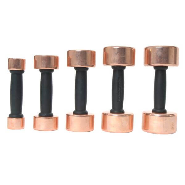 Gold's Gym Brass Dumbbell (4kg Pair)