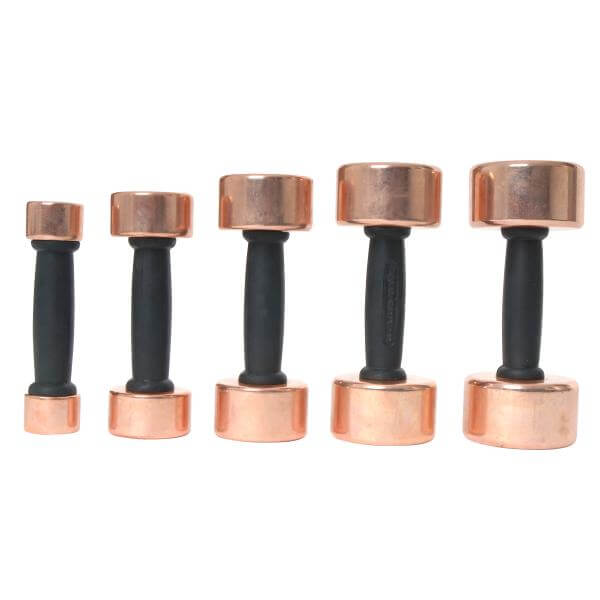 Gold's Gym Brass Dumbbell (5kg Pair)