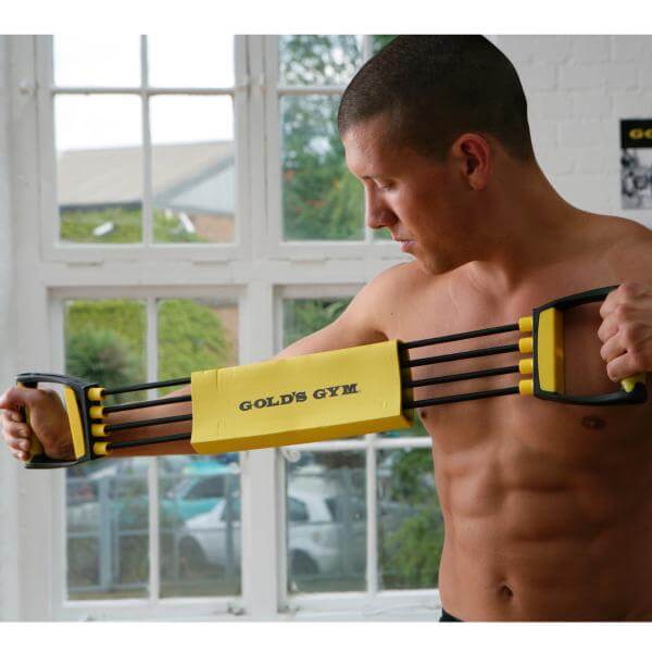 Gold's Gym Torso Max Chest Expander