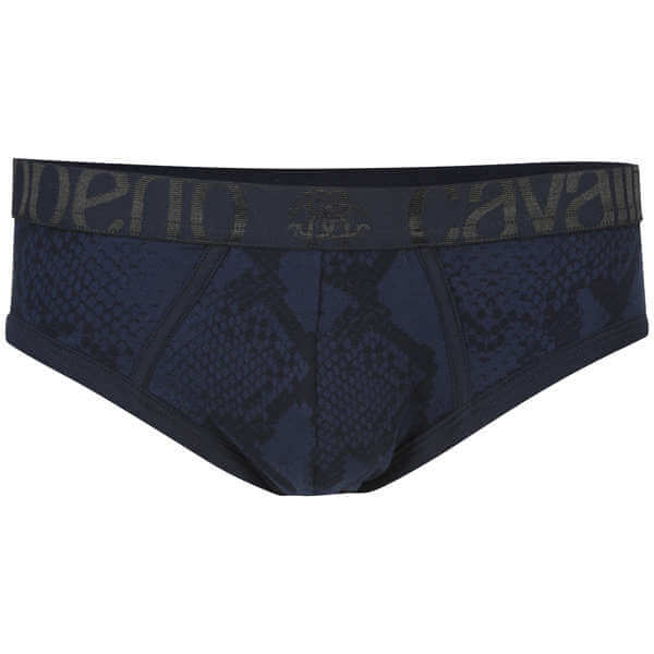 Roberto Cavalli Men's Snake Print Brief  - Blue