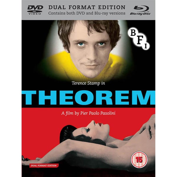 Theorem (Dual Format Editie)