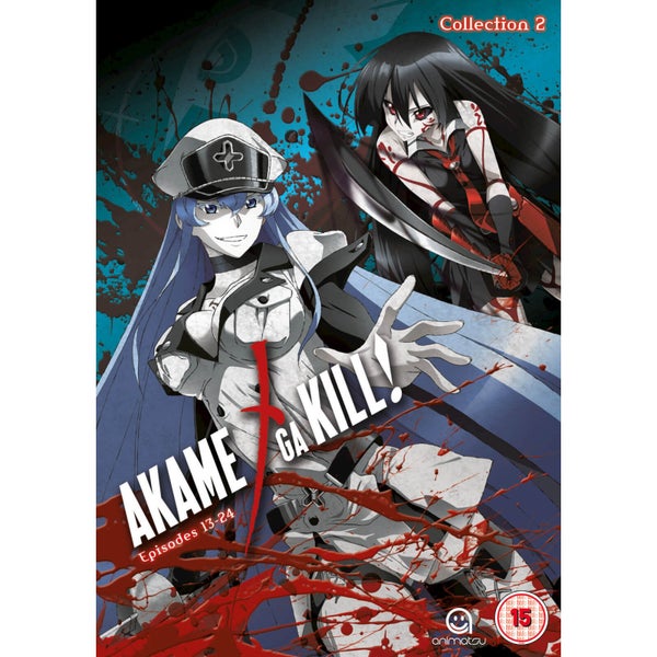 Red Eyes Sword: Akame ga Kill - Collection 2
