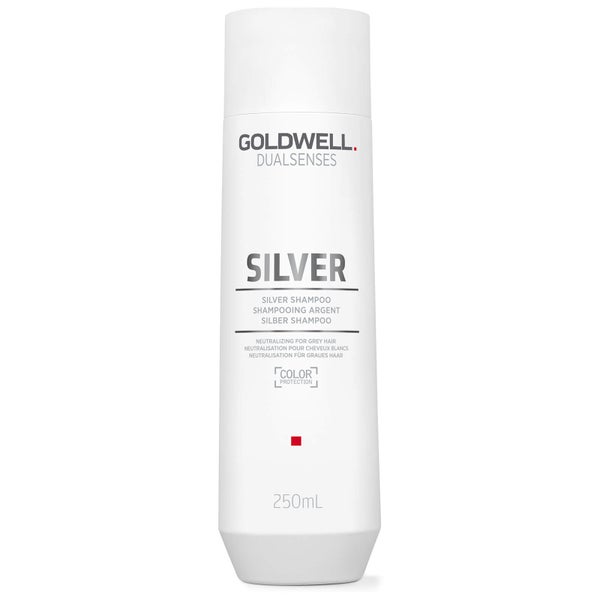 Shampoo Silver da Goldwell Dualsenses 250 ml