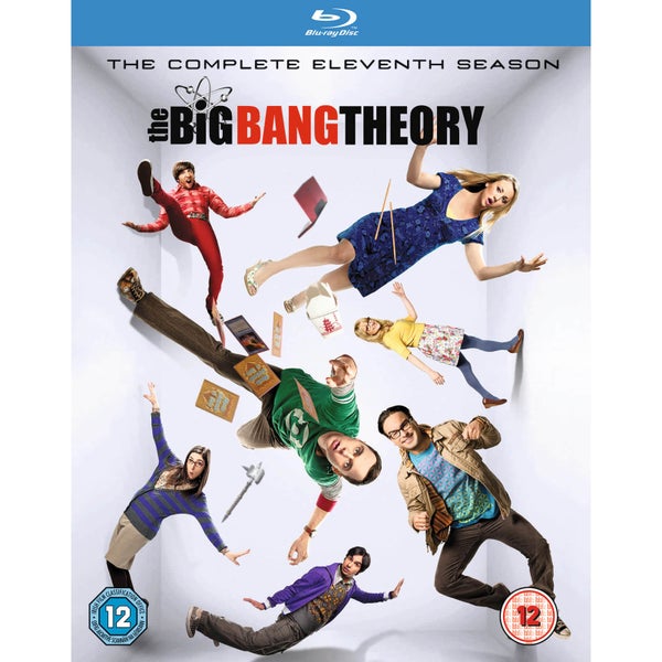 Big Bang Theory Season 11