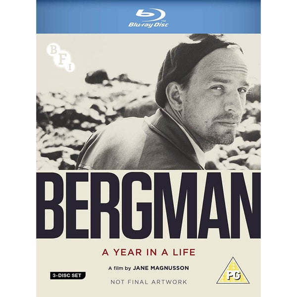 Bergman : Une année dans une vie