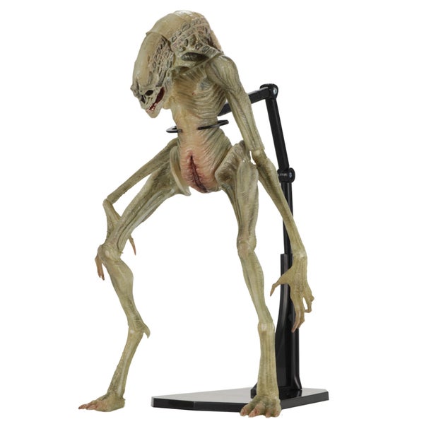 Figurine articulée Deluxe Alien Resurrection nouveau-né (18 cm), Aliens – NECA