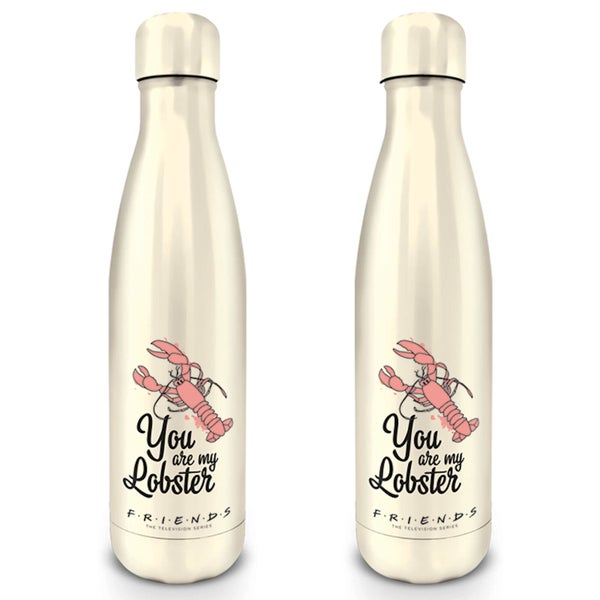 Friends (You Are My Lobster) Metal Drinks Bottle