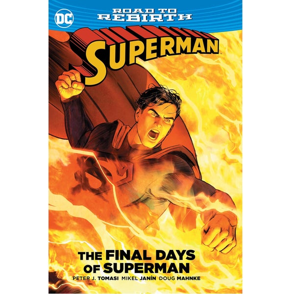 DC Comics Superman The Final Days of Superman Graphic Novel Paperback