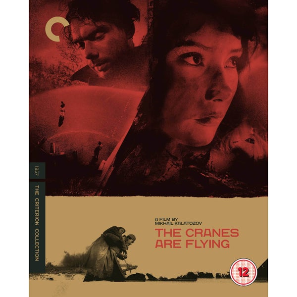 The Cranes are Flying - The Criterion Collection
