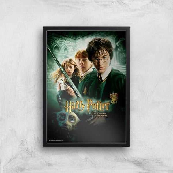 Harry Potter and the Chamber Of Secrets Giclee Art Print