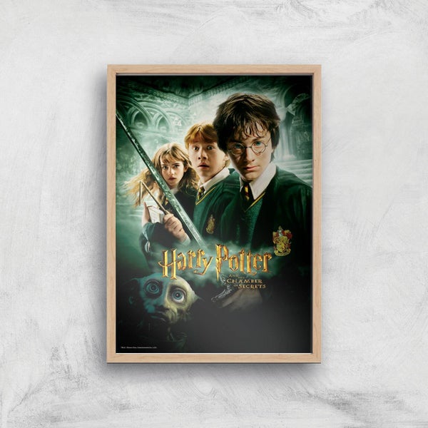 Harry Potter and the Chamber Of Secrets Giclee Art Print - A4 - Wooden Frame