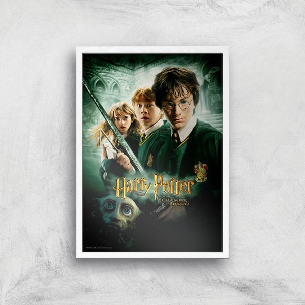 Harry Potter and the Chamber Of Secrets Giclee Art Print - A2 - White Frame