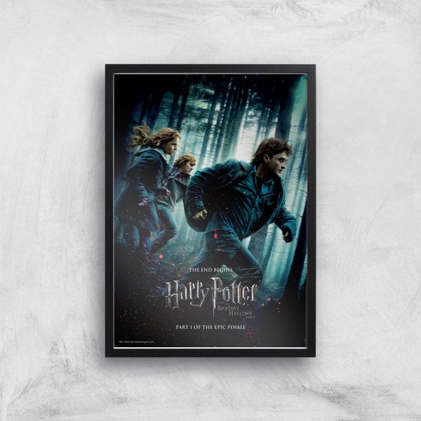 Harry Potter and the Deathly Hallows Part 1 Giclee Art Print