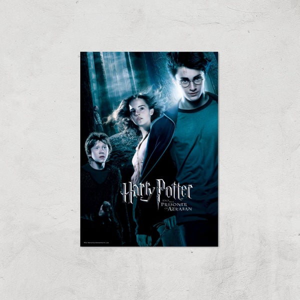 Harry Potter and the Prisoner Of Azkaban Giclee Art Print - A2 - Print Only