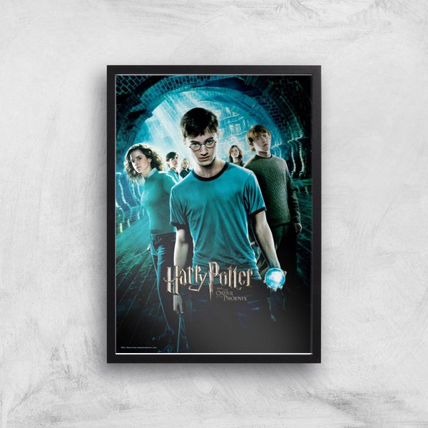 Harry Potter and the Order Of The Phoenix Giclee Art Print